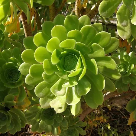 Leia, Luxury For 6 People With Pool Villa