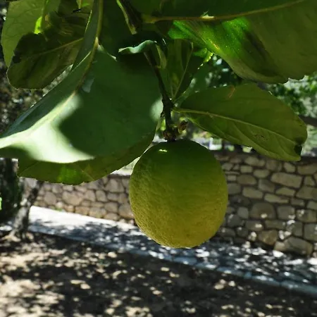 Leia, Luxury For 6 People With Pool Villa *