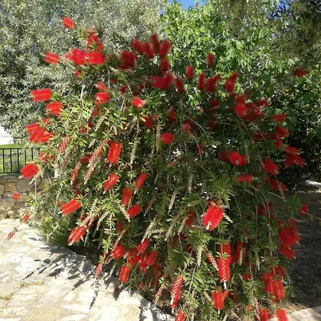 Leia, Luxury For 6 People With Pool * Kalamákion